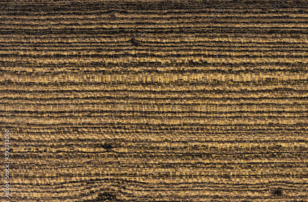 Wood Cross Section Texture Background Stock Photo | Adobe Stock