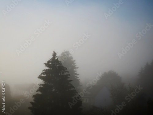 Thick morning fog in autumn