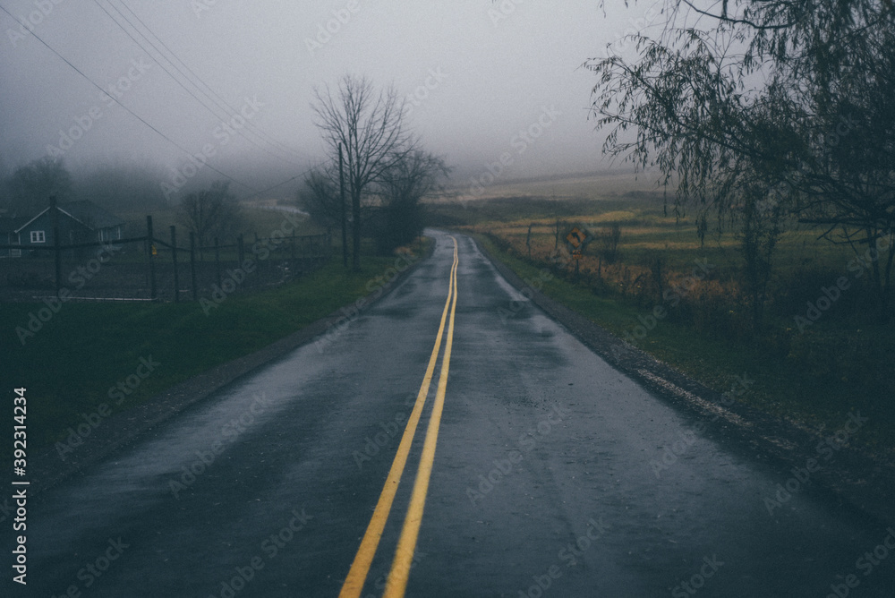 road in fog road in fog