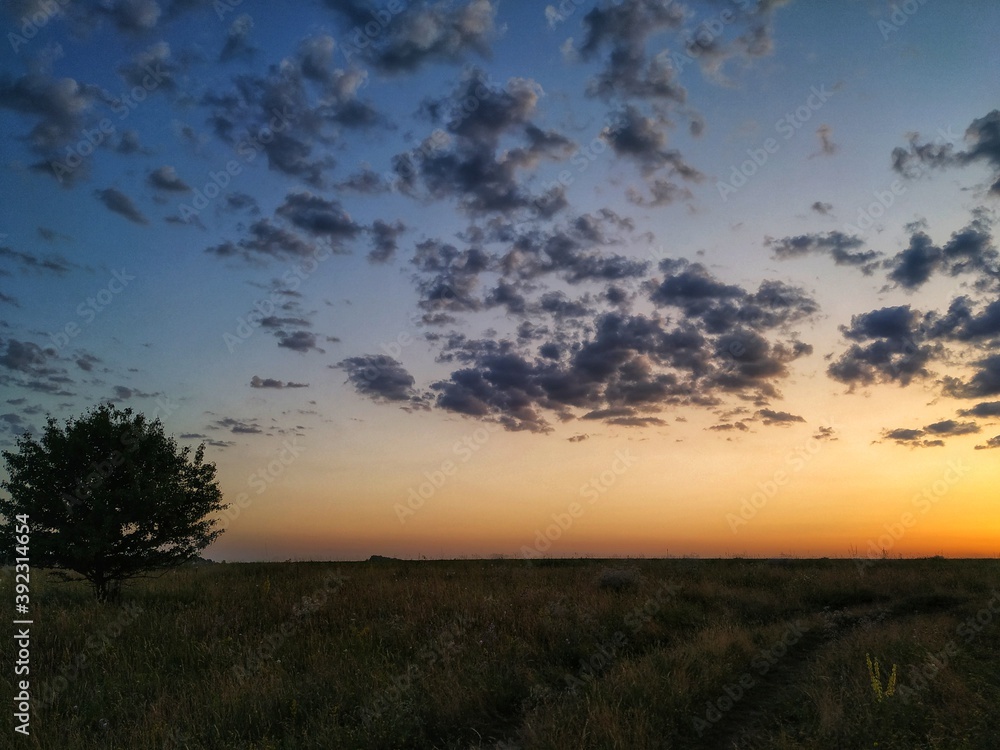 sunset over the field