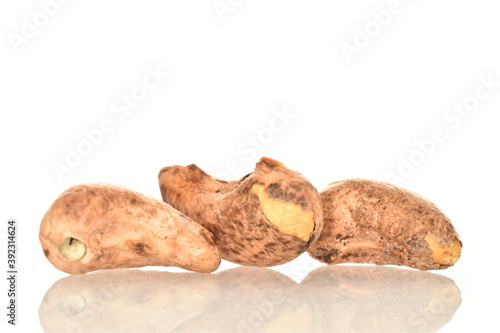 Fragrant fried salted cashews, close-up, isolated on white.