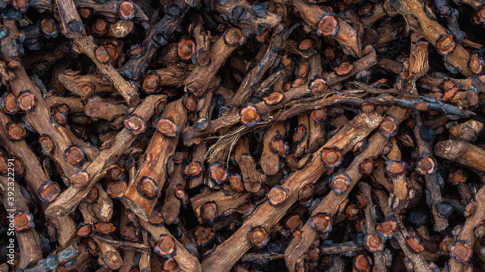 Stack of Arenga pinnata fruit stalk as the waste of kolang kaling (traditional beverage from Indonesia) industry, potentially used for fertilizer or bioenergy industry Stack of Arenga pinnata fruit stalk as the waste of kolang kaling (traditional beverage from Indonesia) industry, potentially used for fertilizer or bioenergy industry