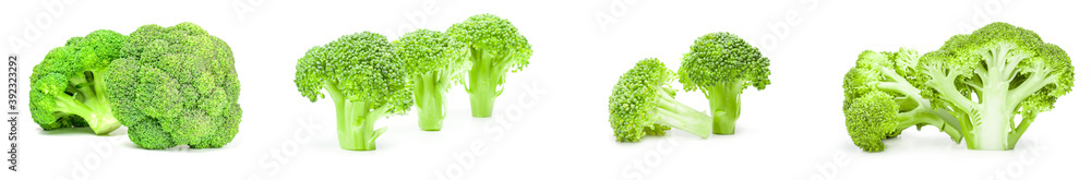 Collection of fresh head of broccoli isolated on a white background Collection of fresh head of broccoli isolated on a white background
