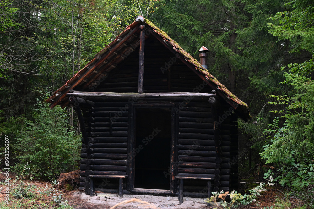 Front view of an ancient wooden forest hut with a red tiled roof and a chimney surrounded by dense, mystical forest. Front view of an ancient wooden forest hut with a red tiled roof and a chimney surrounded by dense, mystical forest.
