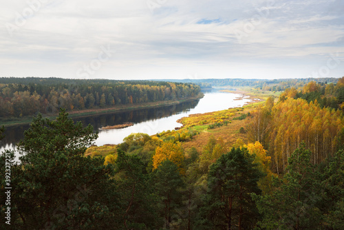 Panoramic aerial view of the majestic pine forest and bends of Daugava river in autumn. Daugavas loki nature park, Latgale, Latvia. Ecology, ecotourism, recreation, travel destinations, landmark photo