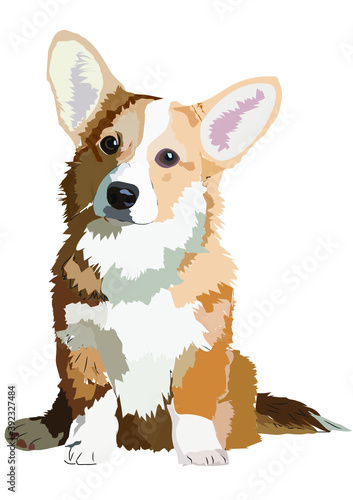  Cute dog. Corgi. Pet. Puppy. Animals