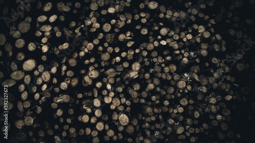 A large stack of small chopped logs for a fire with the end grain in the shape of a circle
