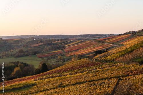 Weinberge im Herbst mit buntem Weinlaub