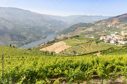the vineyards of Douro Wine Region (DOC - Portuguese Quality Wine Scheme) on the slopes of Douro river next to Mesao Frio, district of Vila Real, Douro, Portugal © Jorge Anastacio