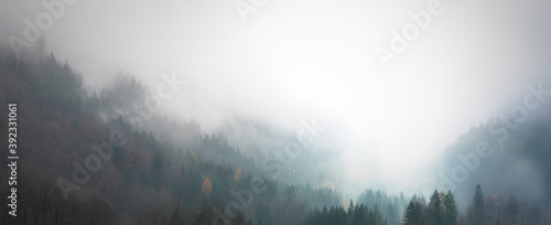 Alpine forest with fog and warm colors, autumn in the mountains, ideal for wallpaper, banner