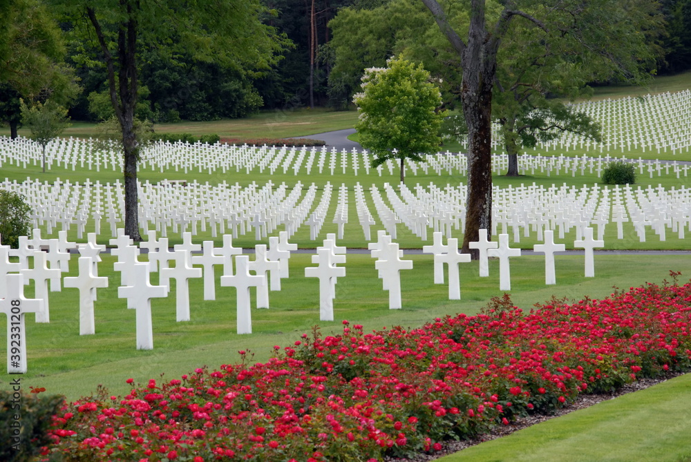 Ville de Saint-Avold, cimetière militaire américain, massif de roses rouges en premier plan, département de Moselle, France