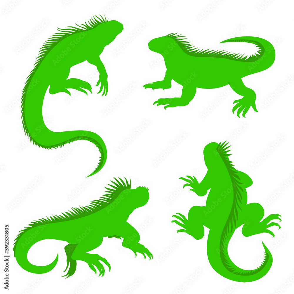 Obraz premium Green Iguanas