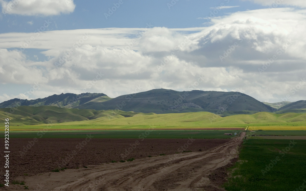 Fototapeta premium San Joaquin valley farmland with heavy clouds