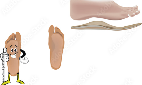 human foot with arch support for walking walking