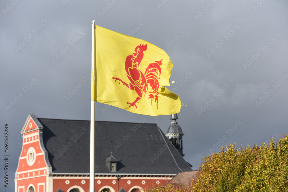 drapeau wallonie wallon Belgique coq foto de Stock Adobe Stock