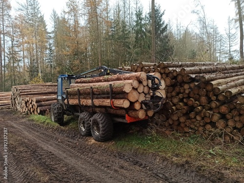 stack of logs