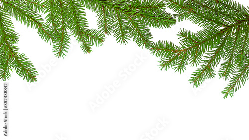A fir evergreen branch frame isolated on white background