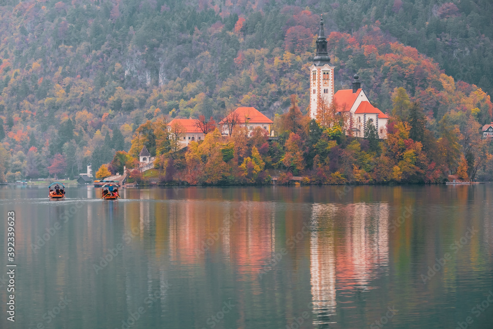 Fototapeta premium Famous Bled Lake in Triglav National Park in the Julian Alps with a forest in autumn colors