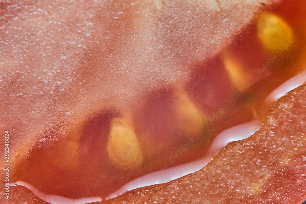 Obraz premium close up of a slice of tomato 