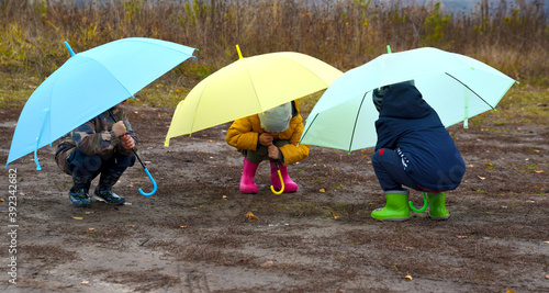 small children walk around the field with umbrellas. autumn rainy day. children walking under umbrellas