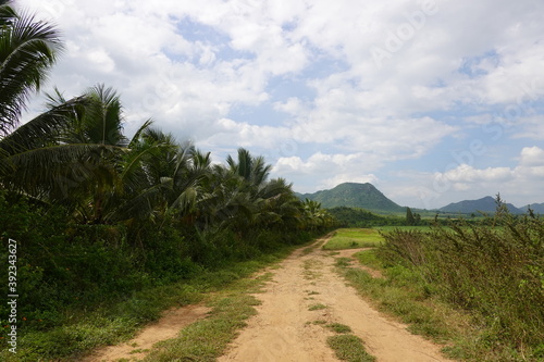 road in the mountains, countryside 