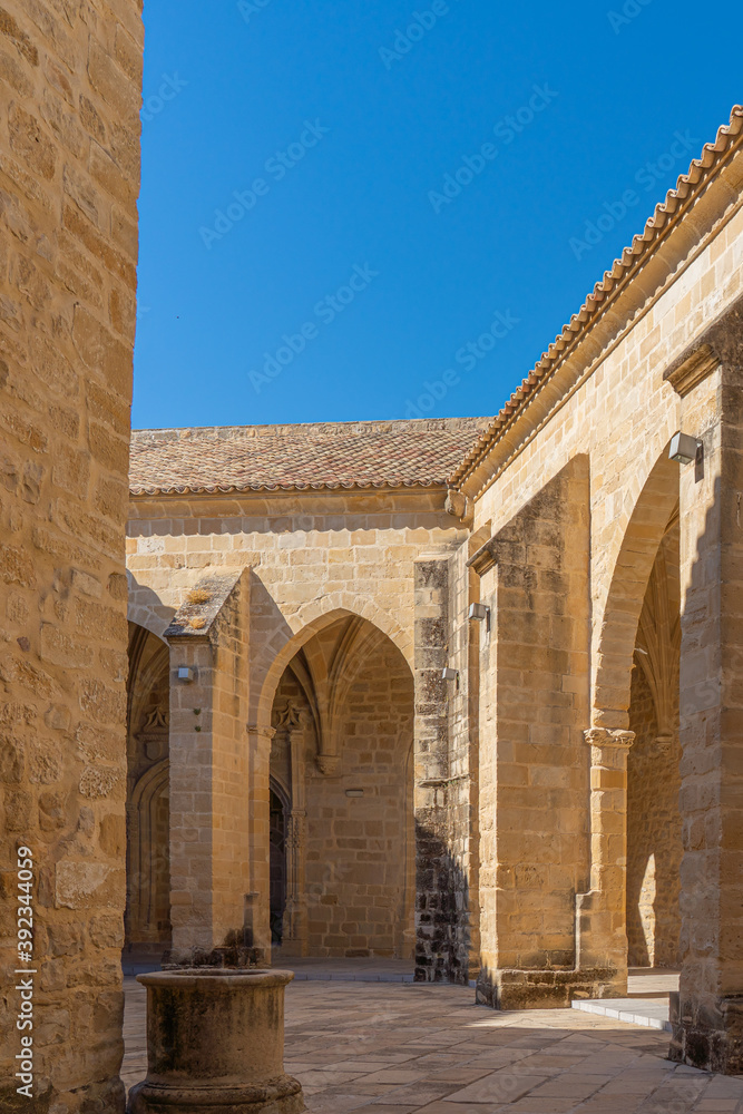Detail of the church of Santa Maria de los Reales Alcazares, Ubeda, Andalusia, Spain vertical