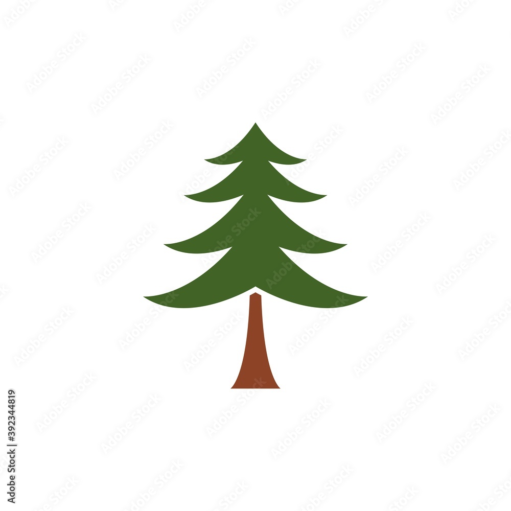Fototapeta premium Pine tree
