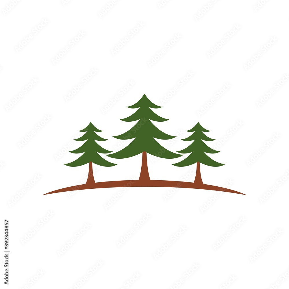 Obraz premium Pine tree