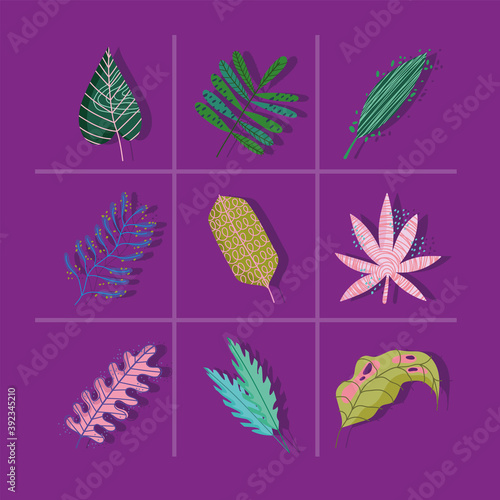 leaves foliage nature abstract decoration color background icons set