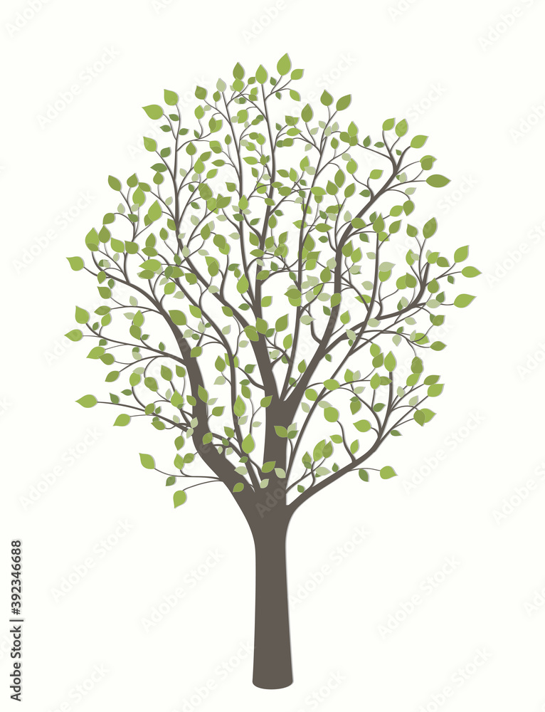 Drawing of a tree with leaves on a light background Drawing of a tree with leaves on a light background