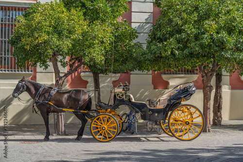 Horse-drawn carriages for hire at the catedral of Seville, Andalusia