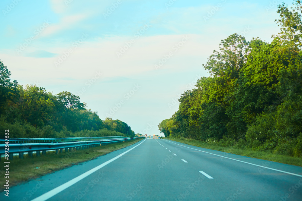 Fototapeta premium road in the forest