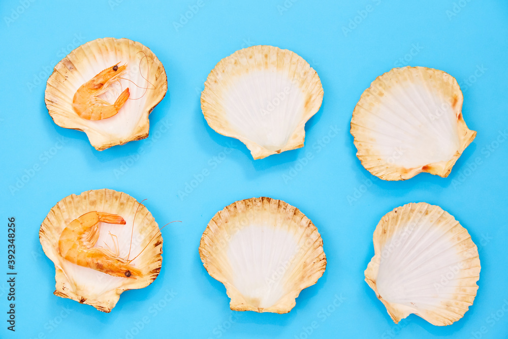 Shrimp in Shell on Blue Background. Seafood. Creative Feed Shrimp in Shell on Blue Background. Seafood. Creative Feed