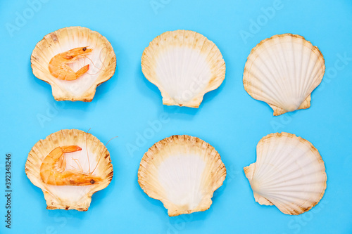Shrimp in Shell on Blue Background. Seafood. Creative Feed