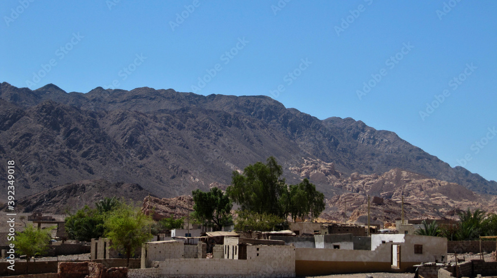A Bedouin village with a green oasis under the mountain in Sinai. Cityscape of stone houses with trees and blue sky