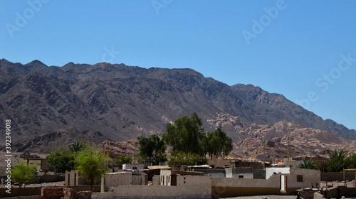 A Bedouin village with a green oasis under the mountain in Sinai. Cityscape of stone houses with trees and blue sky