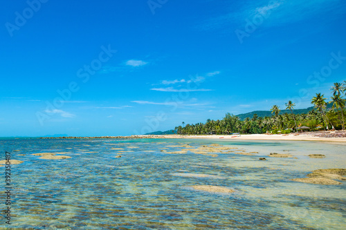 Fototapeta Naklejka Na Ścianę i Meble -  Beautiful tropical landscape of the green coast of Koh Samui
