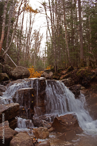 waterfall in the woods