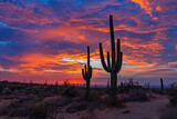 Saguaro Cactus Near Hiking Trail At Sunset In Arizona