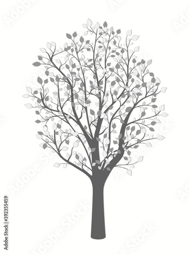 Drawing of a tree in gray in vintage style on a light background