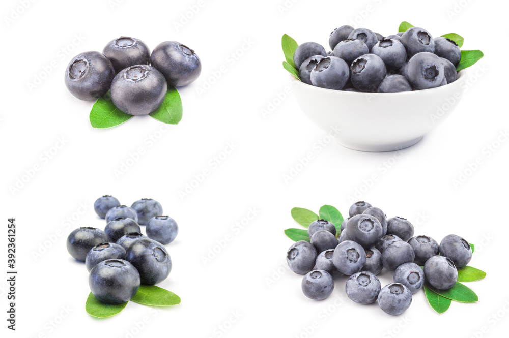 Collage of greatbilberry over a white background Collage of greatbilberry over a white background