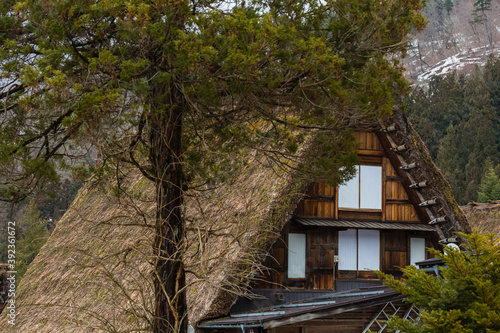 日本　岐阜県、白川郷の合掌造り集落の合掌造りの茅葺屋根 © pespiero