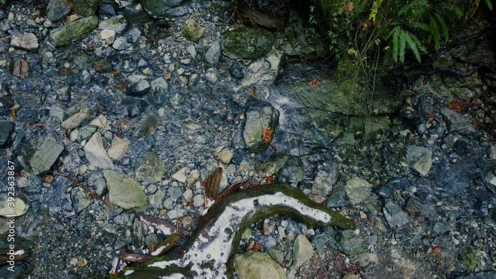 Top down view of water stream, rocks and logs covered with snow Top down view of water stream, rocks and logs covered with snow