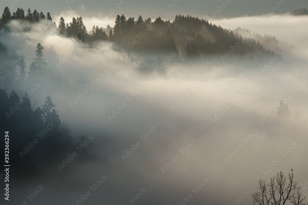 朝霧の里山