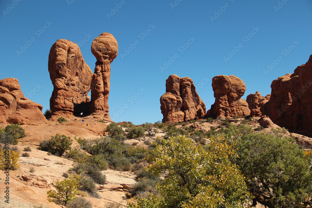 Fototapeta premium Tall hoodoos in Zion National Park.