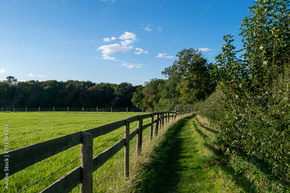 British footpath between the farmlands separated by woodden fence, hiking path through english coutryside land, beautiful day for a walk to see nature