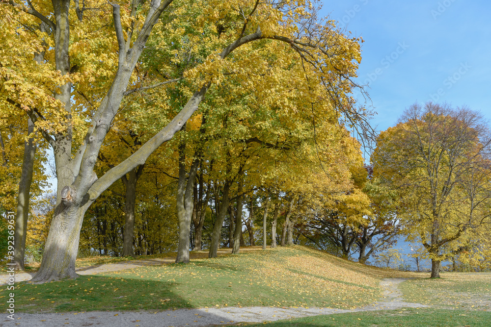 Naklejka premium Autumn in the Park