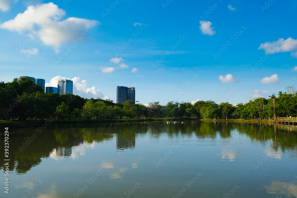 Green tree park meadow pool against blue sky with cloud Green tree park meadow pool against blue sky with cloud
