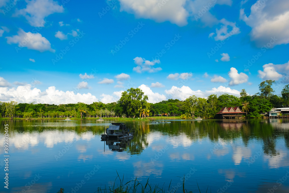 Green tree park meadow pool against blue sky with cloud Green tree park meadow pool against blue sky with cloud
