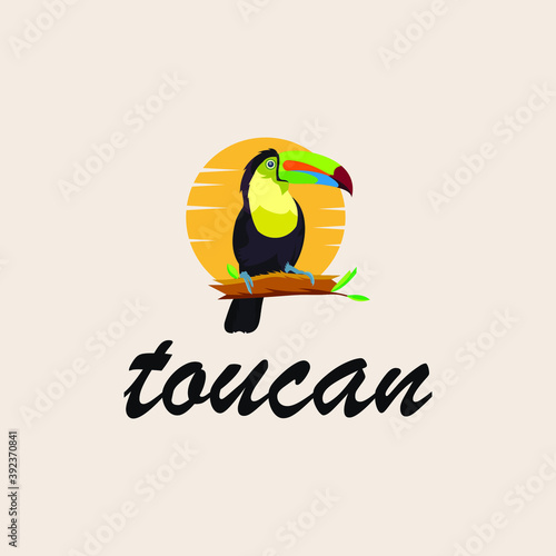 toucan logo designs